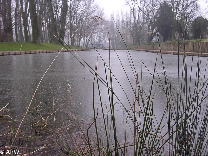 L'étang est gelé, 2005-02