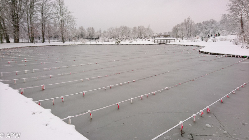 L'étang sous la neige, 2019-01