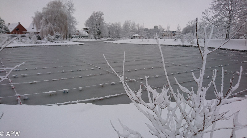 L'étang sous la neige, 2019-01