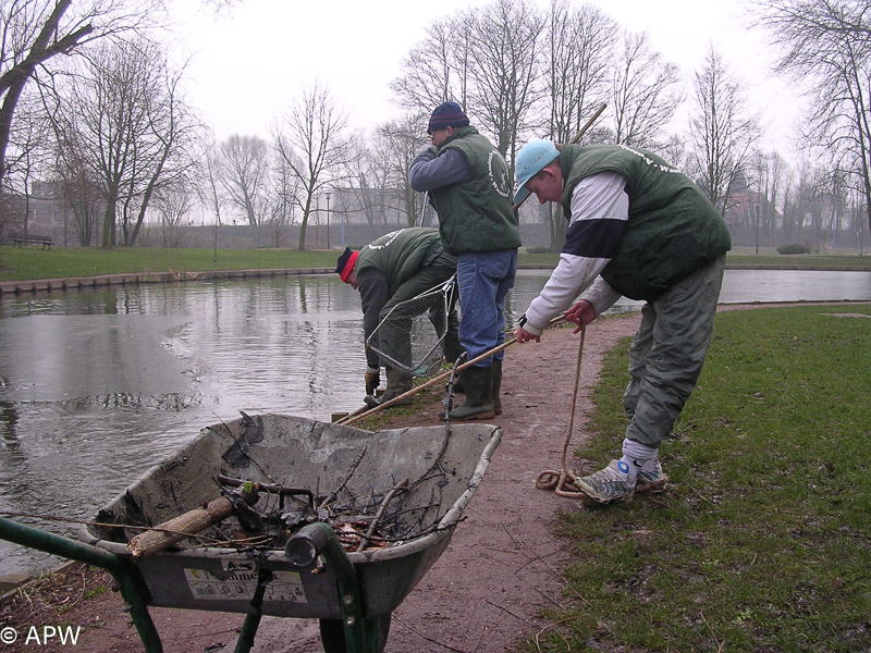 Nettoyage de l'étang, 2005-02