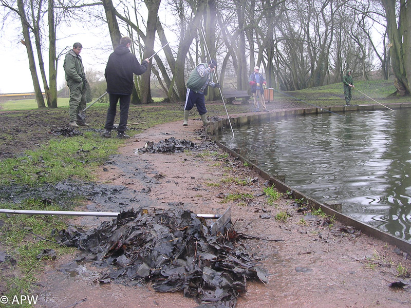 Nettoyage de l'étang, 2006-02