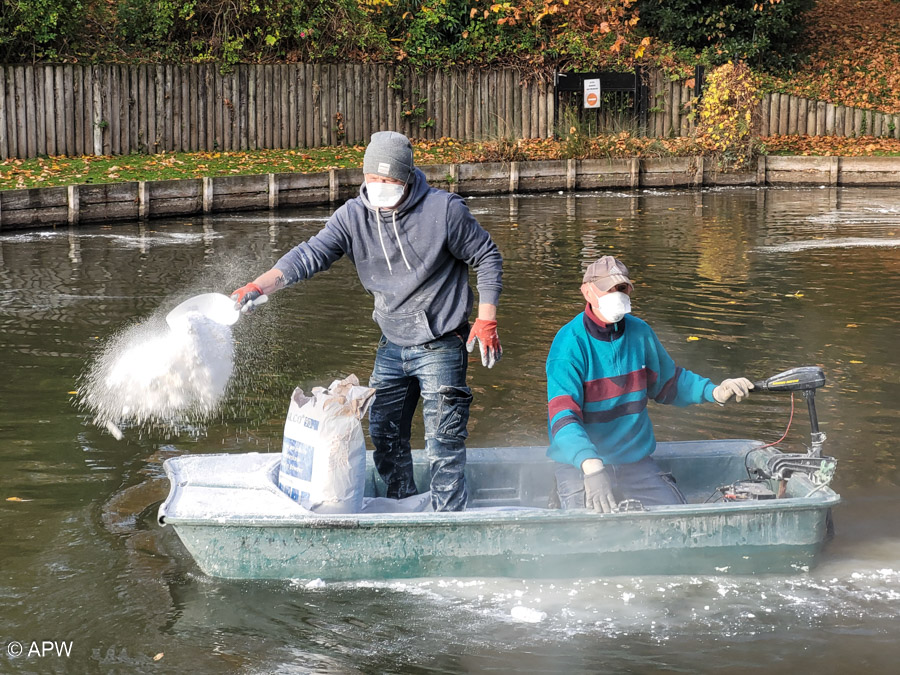 Pose des filets anti-cormorans, Nov.2025