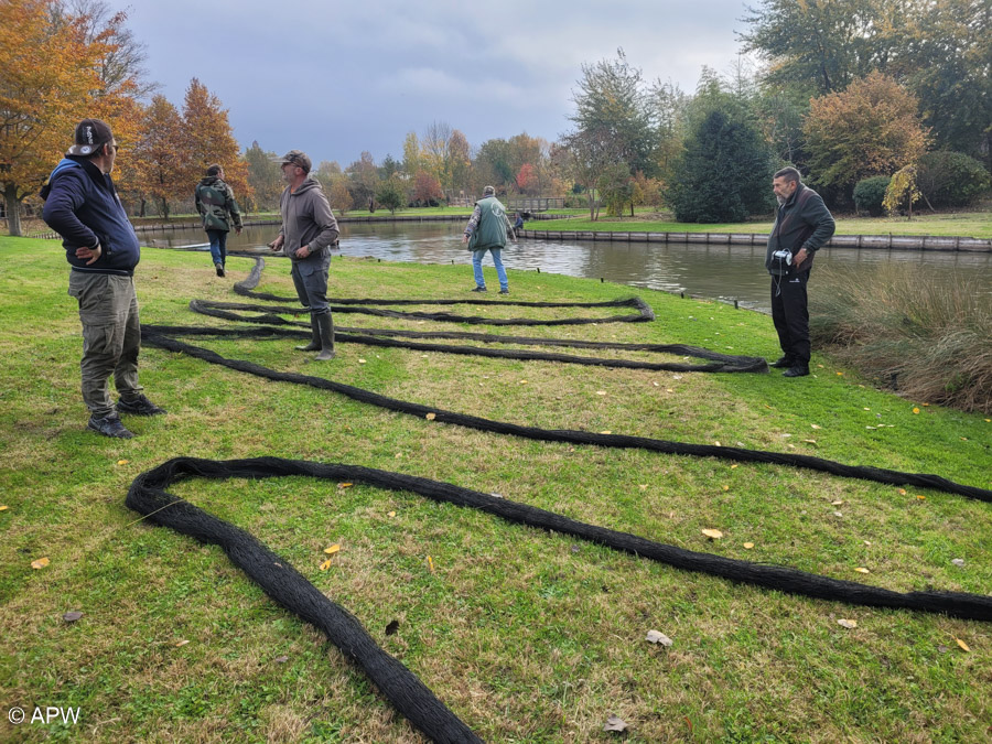 Pose des filets anti-cormorans, Nov.2025