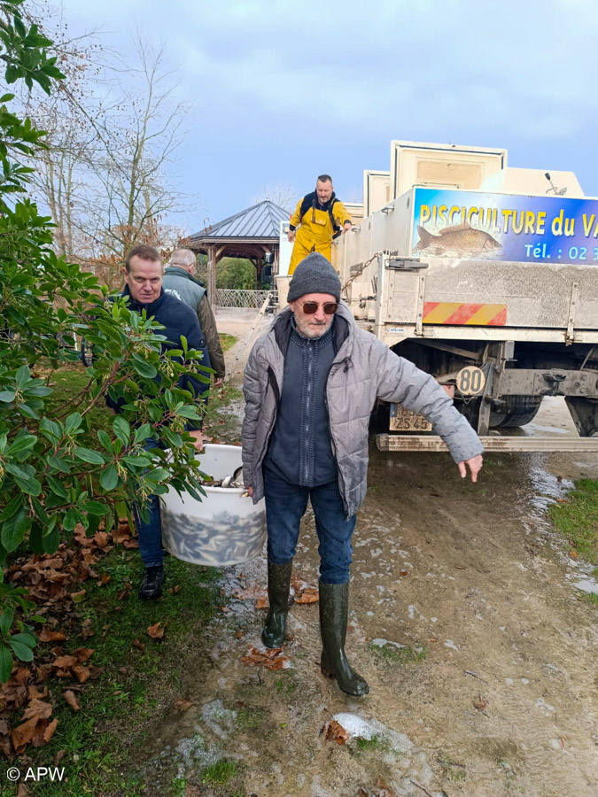 Rempoissonnement, Déc. 2025