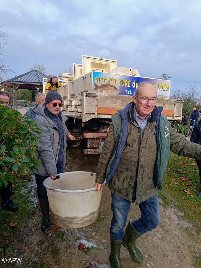 Rempoissonnement, Déc. 2025