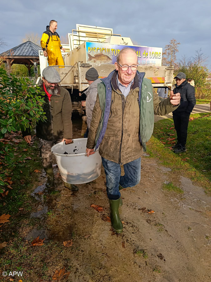 Rempoissonnement, Déc. 2025