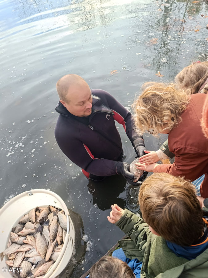 Rempoissonnement, Déc. 2025