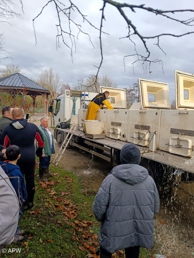 Rempoissonnement, Déc. 2025