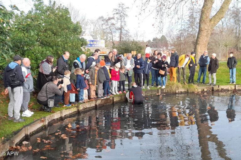 Retour sur un rempoissonnement réussi