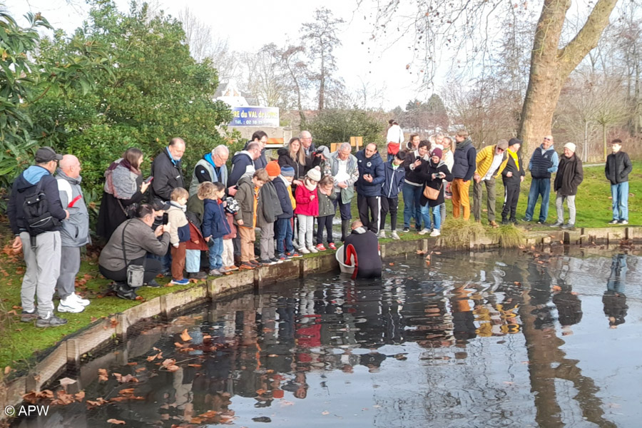 Rempoissonnement, Déc. 2025